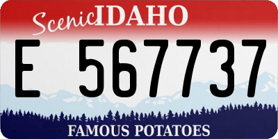 ID license plate E567737