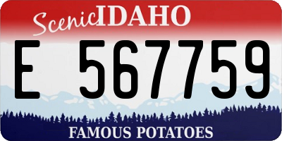 ID license plate E567759