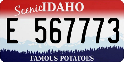 ID license plate E567773