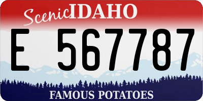 ID license plate E567787