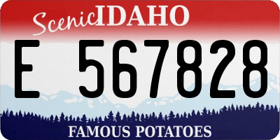ID license plate E567828
