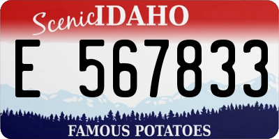 ID license plate E567833