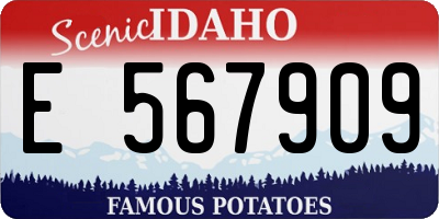 ID license plate E567909