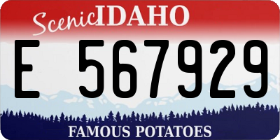 ID license plate E567929