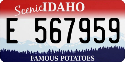 ID license plate E567959