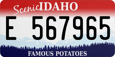 ID license plate E567965