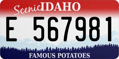 ID license plate E567981