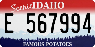ID license plate E567994