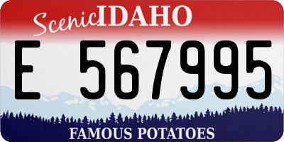 ID license plate E567995