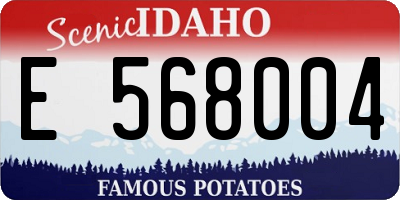 ID license plate E568004