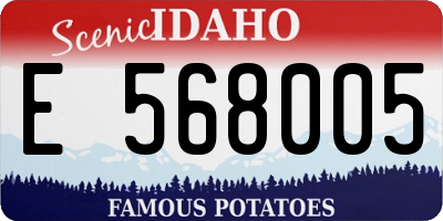 ID license plate E568005