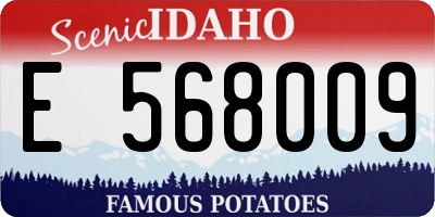 ID license plate E568009