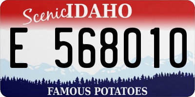 ID license plate E568010
