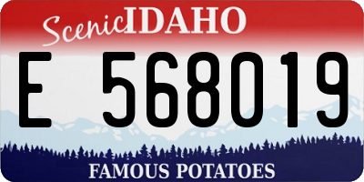 ID license plate E568019