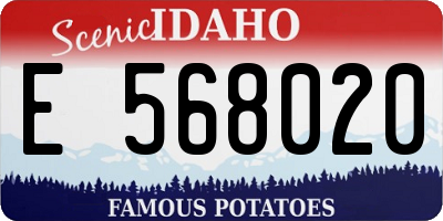 ID license plate E568020