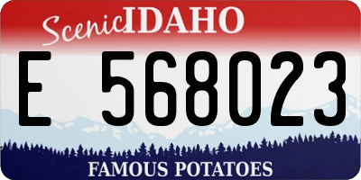 ID license plate E568023