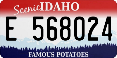 ID license plate E568024