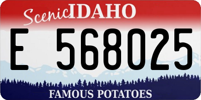 ID license plate E568025