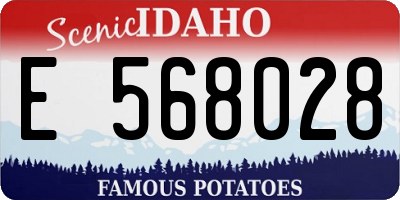 ID license plate E568028