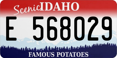 ID license plate E568029