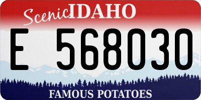 ID license plate E568030