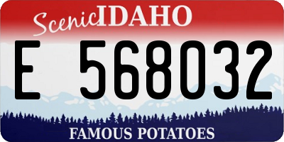 ID license plate E568032