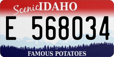 ID license plate E568034