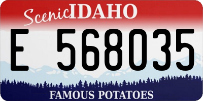 ID license plate E568035