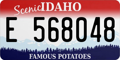 ID license plate E568048