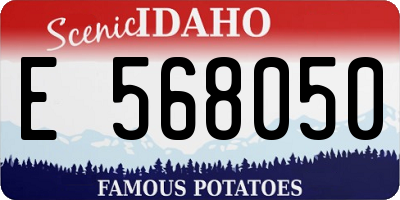 ID license plate E568050