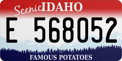 ID license plate E568052