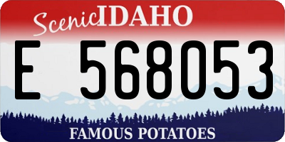 ID license plate E568053