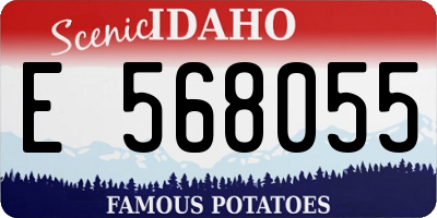 ID license plate E568055