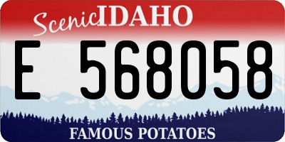 ID license plate E568058