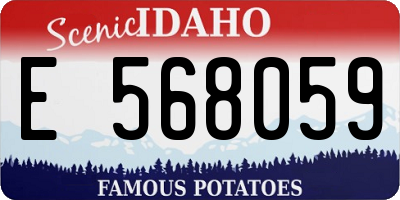 ID license plate E568059