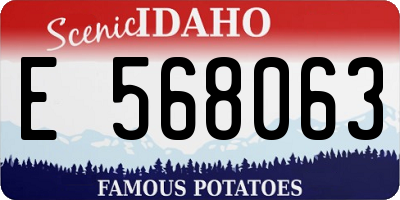 ID license plate E568063
