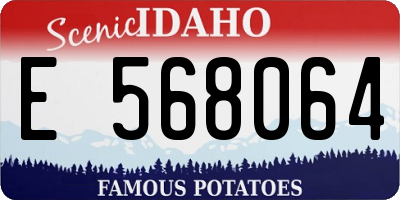 ID license plate E568064