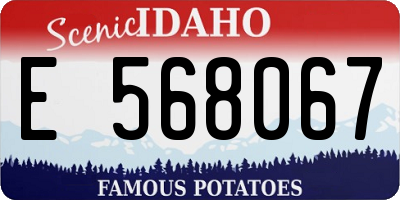 ID license plate E568067