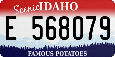 ID license plate E568079