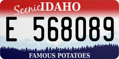ID license plate E568089