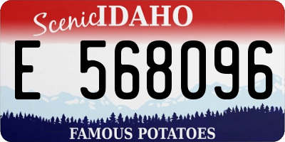 ID license plate E568096