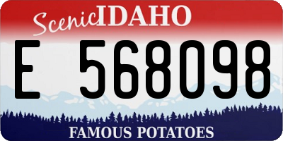 ID license plate E568098