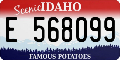 ID license plate E568099