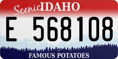 ID license plate E568108