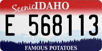 ID license plate E568113