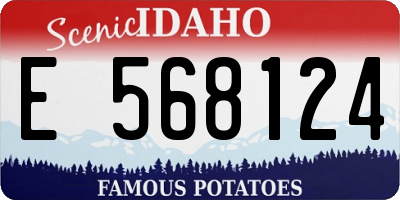 ID license plate E568124