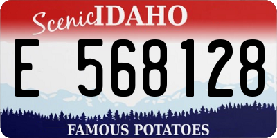 ID license plate E568128