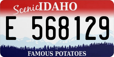 ID license plate E568129