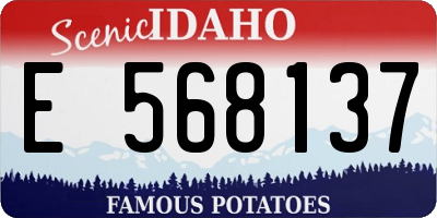 ID license plate E568137