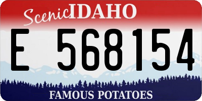 ID license plate E568154